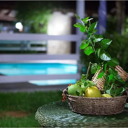 Panzió Ai Parchi Dei Parrini Partinico